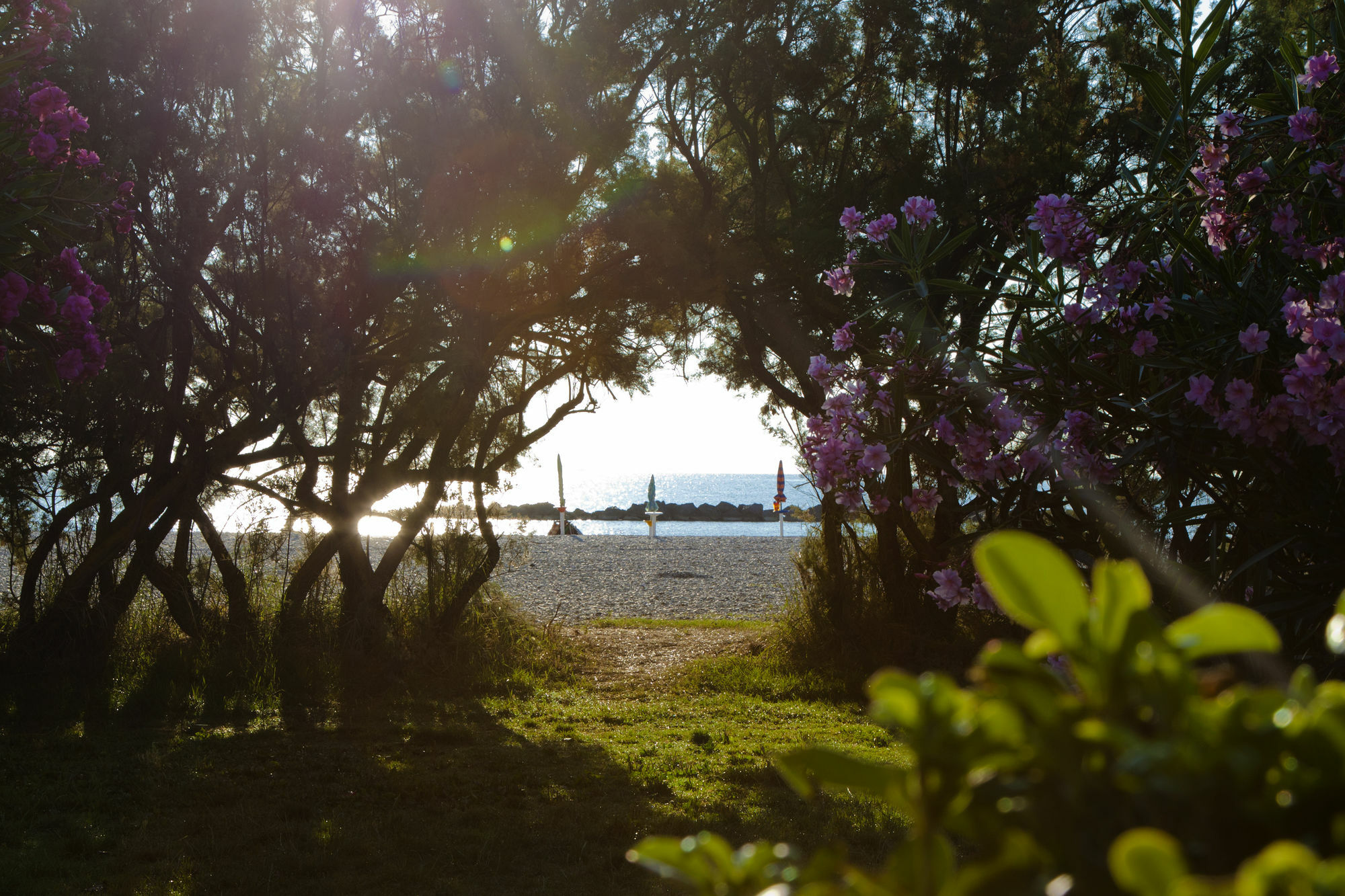 Residence Casabianca Porto San Giorgio Bagian luar foto